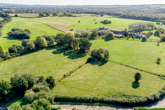 Thumbnail Property for sale in Bailes Lane, Normandy, Guildford, Surrey