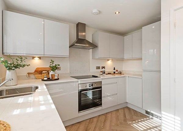 Plot 267 Ashworth Place, Exeter photo 2