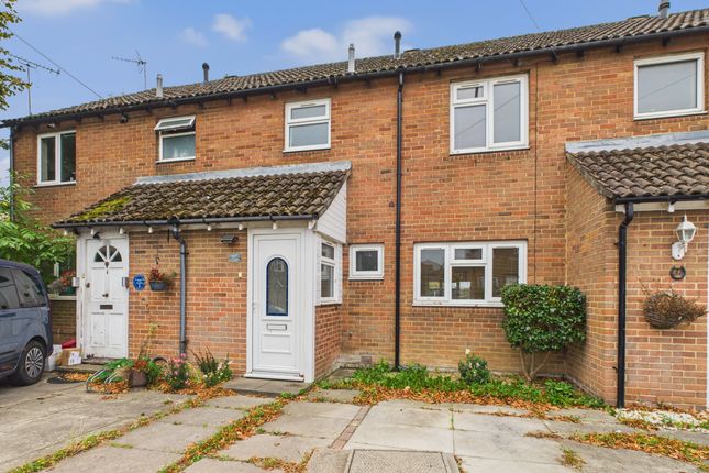 Cam02909G0-Pr0502-Still014