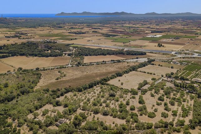 Land for sale in Spain, Mallorca, Sa Pobla