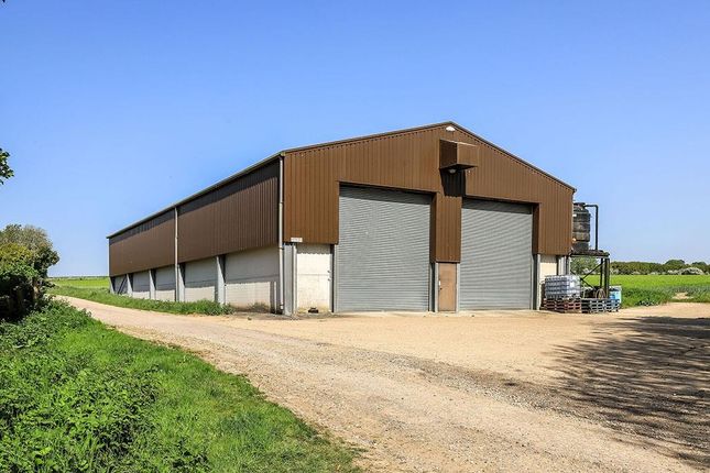 The Farm Buildings