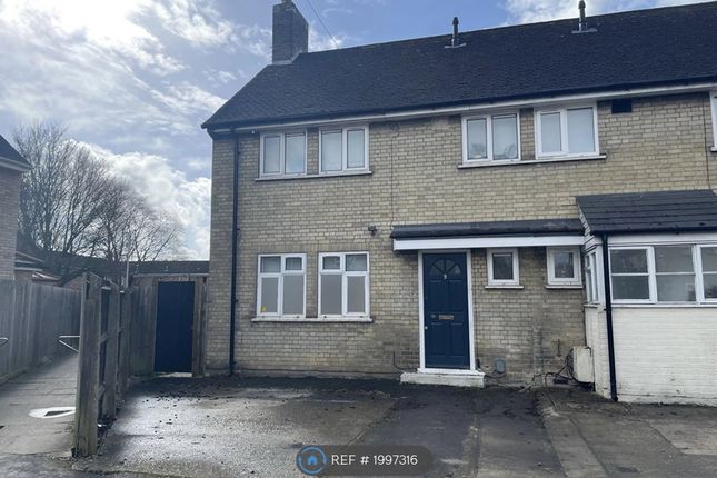 Semi-detached house to rent in Coldhams Grove, Cambridge