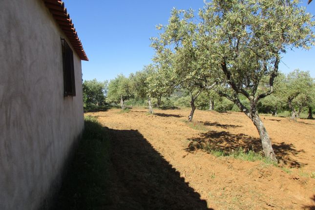 Farm for sale in Aranhas, Penamacor, Castelo Branco, Central Portugal