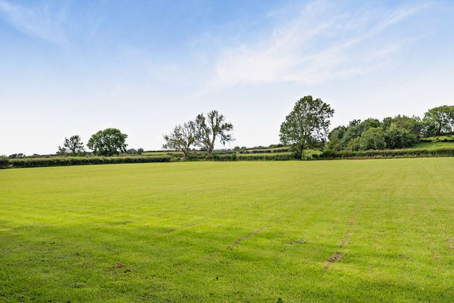 Cartfref, Axton, Holywell photo 3