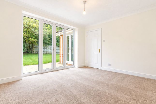 Salters, Bishops Stortford, Herts photo 5