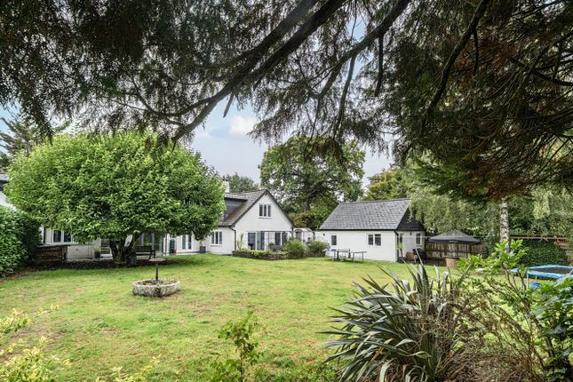 1348096-9-68B80Fa...