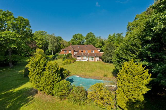 Elevated Rear Aspect