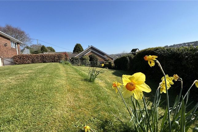 Tressa Copshorn Road, Bodmin photo 3