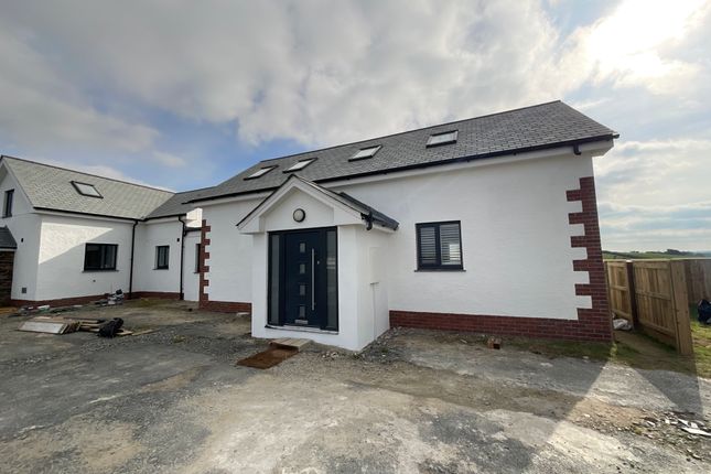 20251011_130604345_Ios