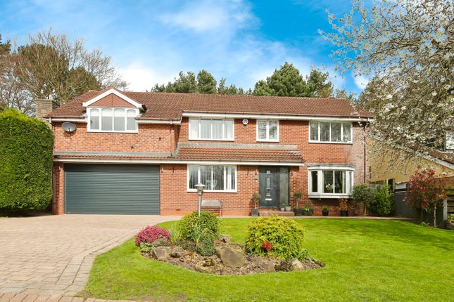 Thumbnail Detached house for sale in Castle View, Chester Le Street, Durham
