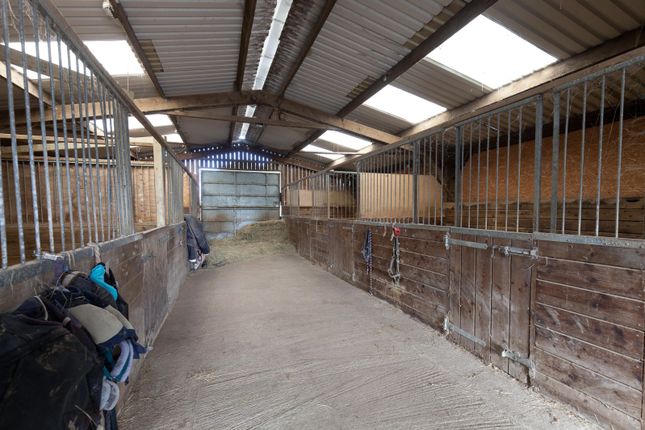 Temple Lane Stables,, Temple Lane, Somerset photo 5