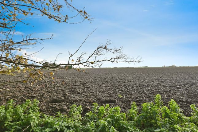 39, Jekils Bank, Spalding photo 3