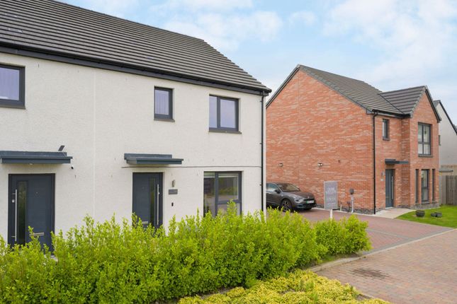 Thumbnail Semi-detached house for sale in Oak Tree Gardens, Sauchie