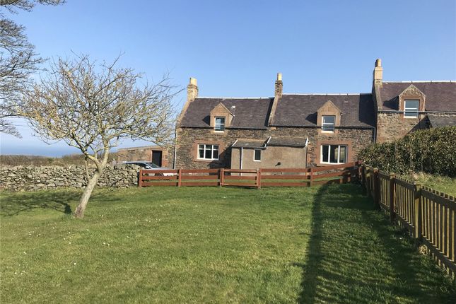 Thumbnail Semi-detached house to rent in Cockburnspath, Berwickshire