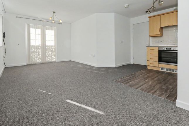 11 Cavan Drive, St. Helens photo 3