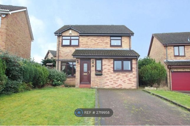 Front Elevation And Driveway