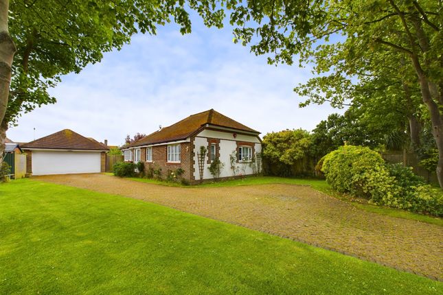 Thumbnail Detached bungalow to rent in Warnham Close, Goring-By-Sea