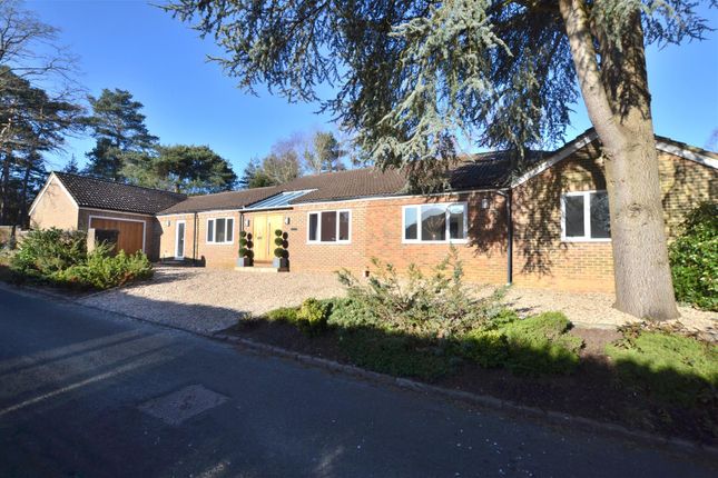Thumbnail Detached bungalow for sale in Crawley Ridge, Camberley