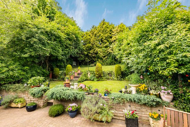 Garden (3)