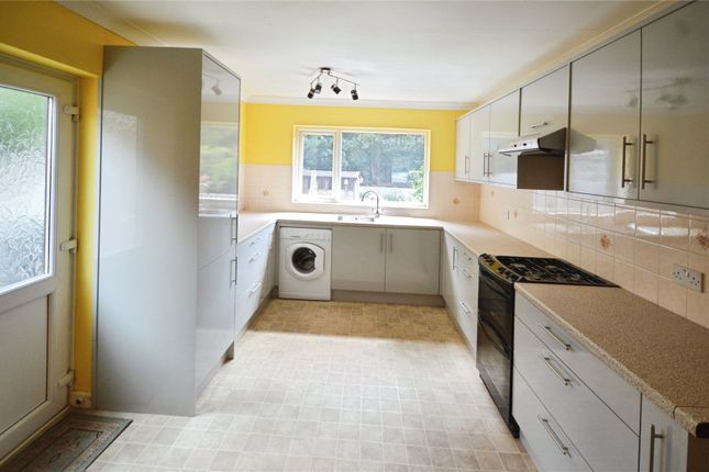 Aquarius,, Start Hill, Bishop's Stortford photo 2