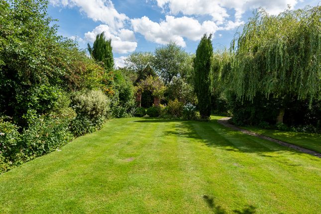 Old Manor House, Main Street, Pershore photo 3