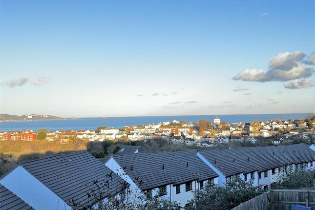Detached house for sale in Palm Tree View, Goodrington, Paignton