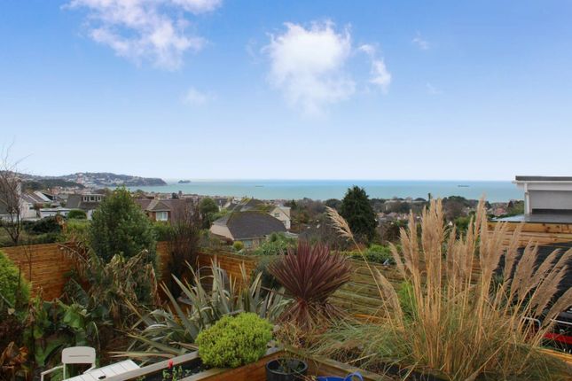 132 Laura Grove, Paignton photo 2
