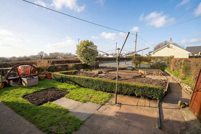 6 Cross Meadow, Crediton photo 4