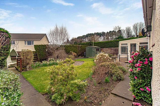 Detached bungalow for sale in Lade Braes, Dalgety Bay, Dalgety Bay