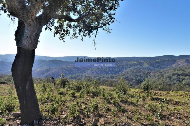 Land for sale in 170Ha With Cork And House In Serra Do Caldeirão, Portugal