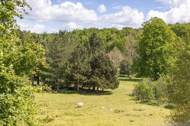 2A Beechfield, Newton Toney, Salisbury photo 2