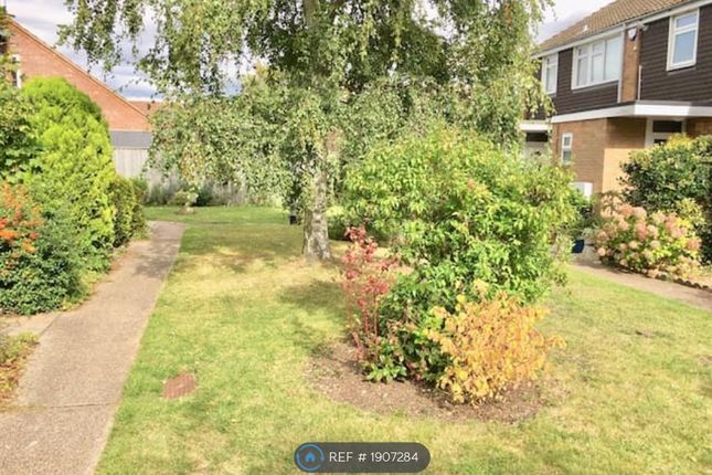 Thumbnail Terraced house to rent in Birch Close, Cambridge