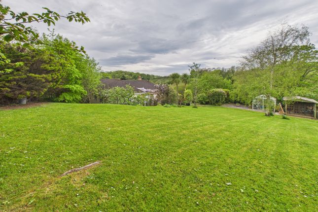 Penniwood, Colebrook Farm, Bude photo 2