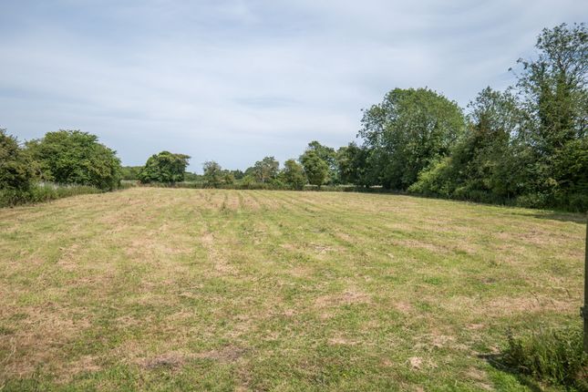 Field / Paddock