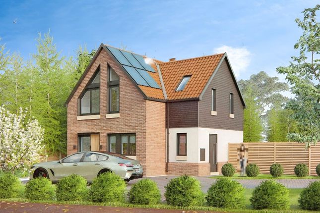 2Eda4733-Plot 202 20 281 29.Jpg