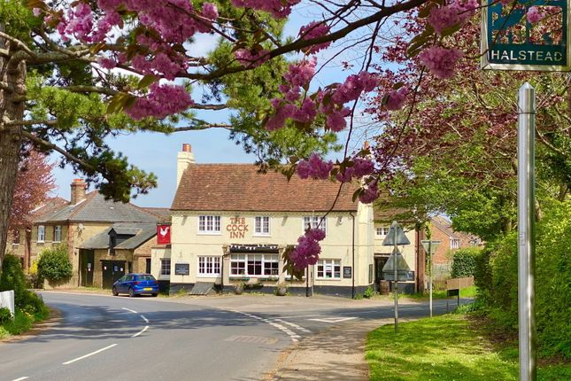 Thumbnail Detached house for sale in Shoreham Lane, Halstead, Sevenoaks