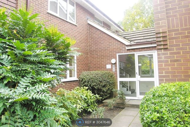 Gladbeck Way, Enfield photo 2