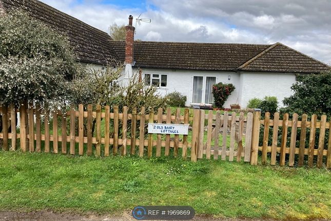 Thumbnail Bungalow to rent in Old Dairy Cottages, Churt, Farnham