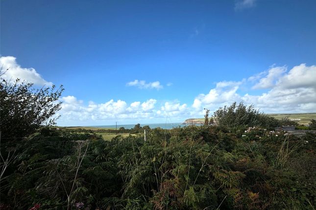 Threeways,, Feidr Brenin, Pembrokeshire photo 2