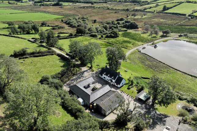 Ty'N Gaer, Tregaron photo 3