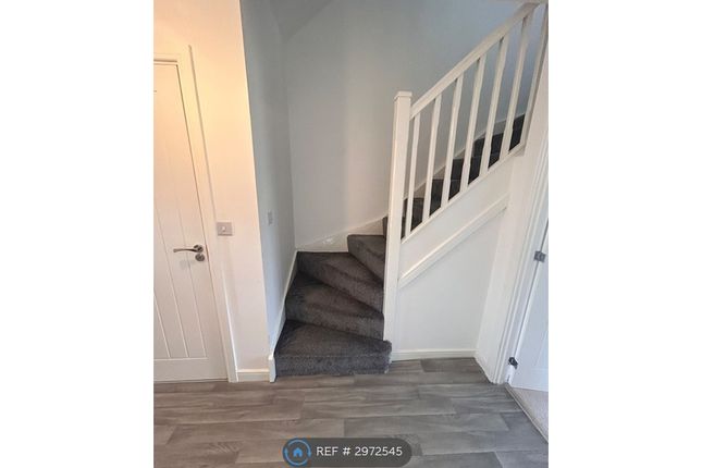 Turnberry Avenue, Newsham, Blyth photo 4
