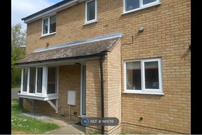 Thumbnail End terrace house to rent in The Sycamores, Cambridge