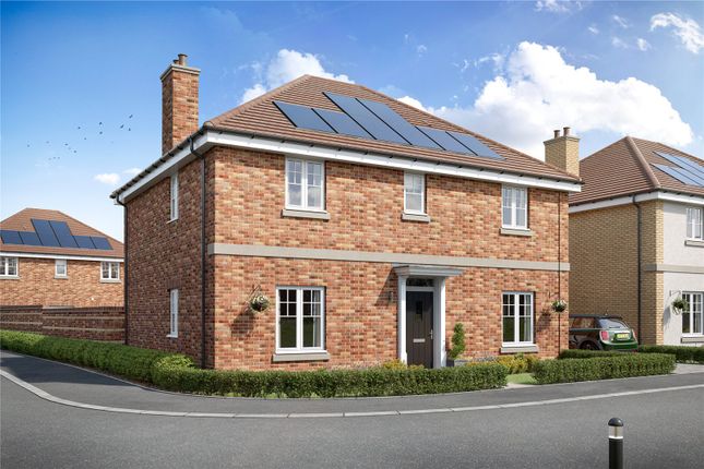 The Willow - Plot 23