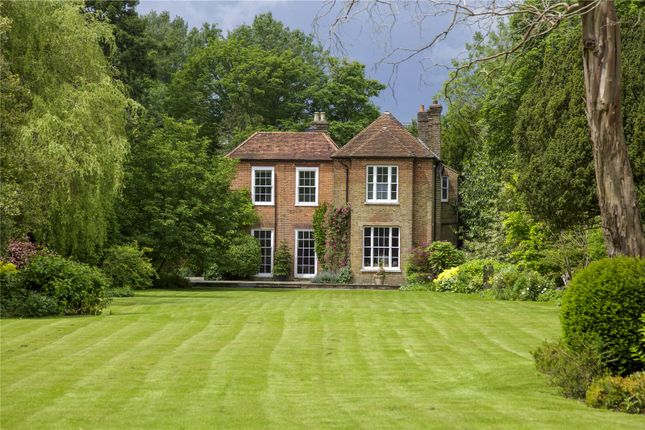 Rear Elevation