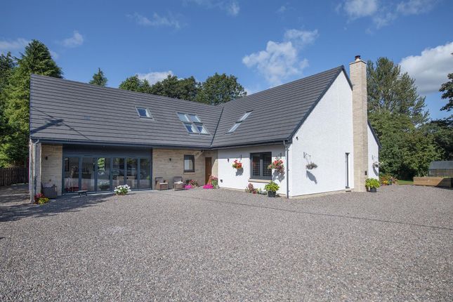 Thumbnail Detached house for sale in Drum, Kinross