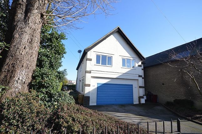 Front Apartment To Rent In Chichester (Main)