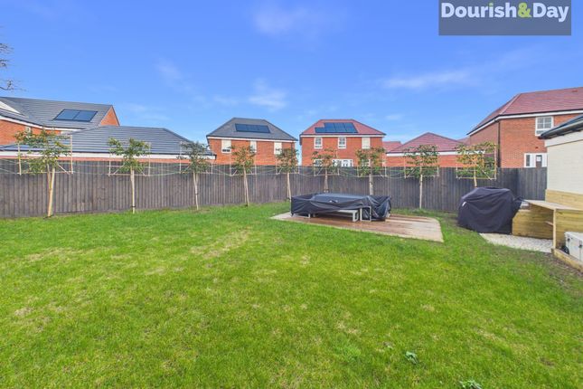 11 Wallflower Path, Stafford photo 4