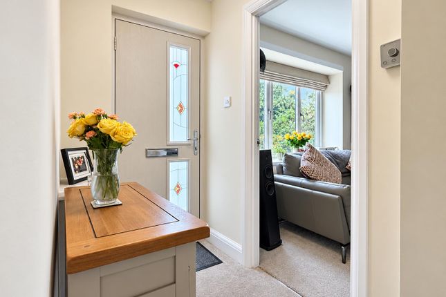 20, Blacklock, Chelmsford photo 5