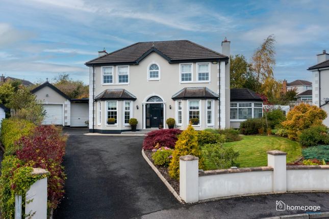 Thumbnail Detached house for sale in 7 Braefield, Claudy