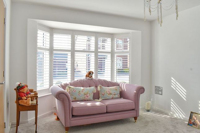 19, Crocus Close, Newark photo 4